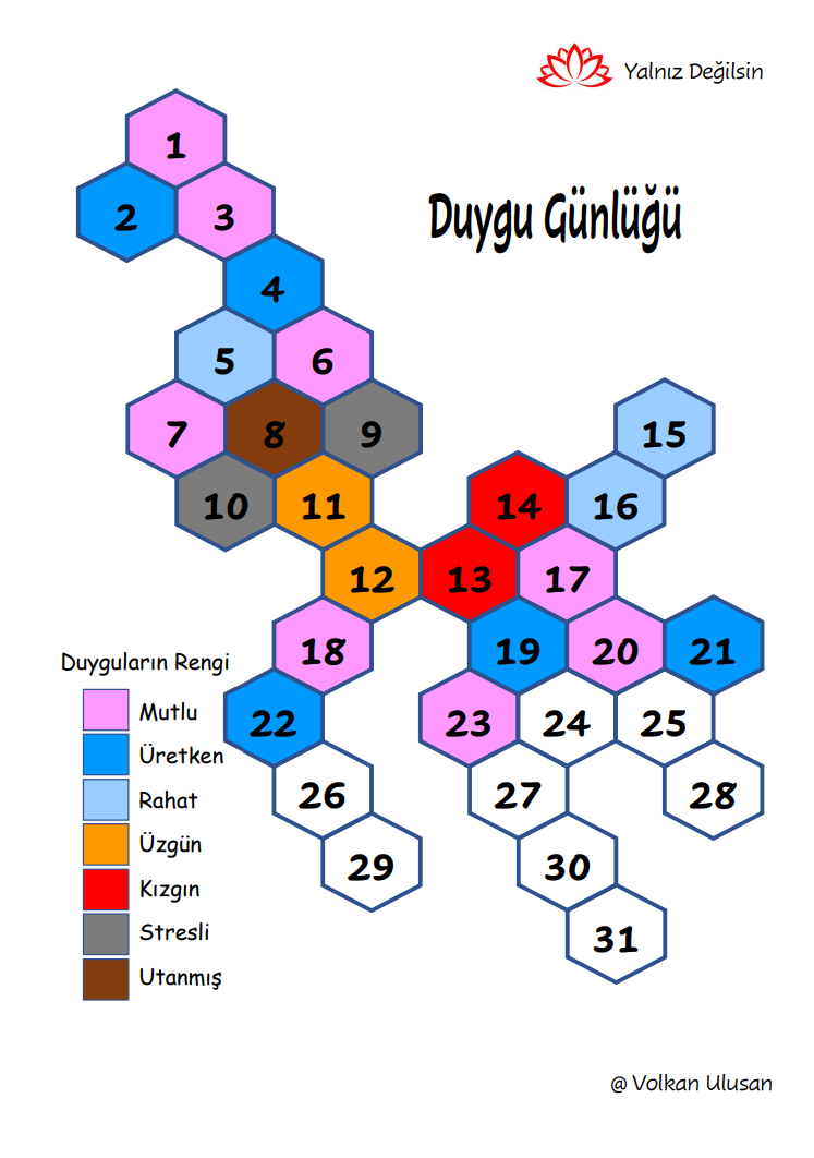 Duygu Günlüğü nasıl tutulur , örnek